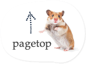 pagetop