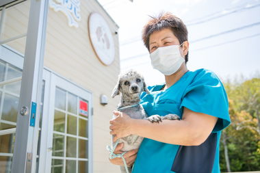 松阪市にあるスージー動物病院にある機器